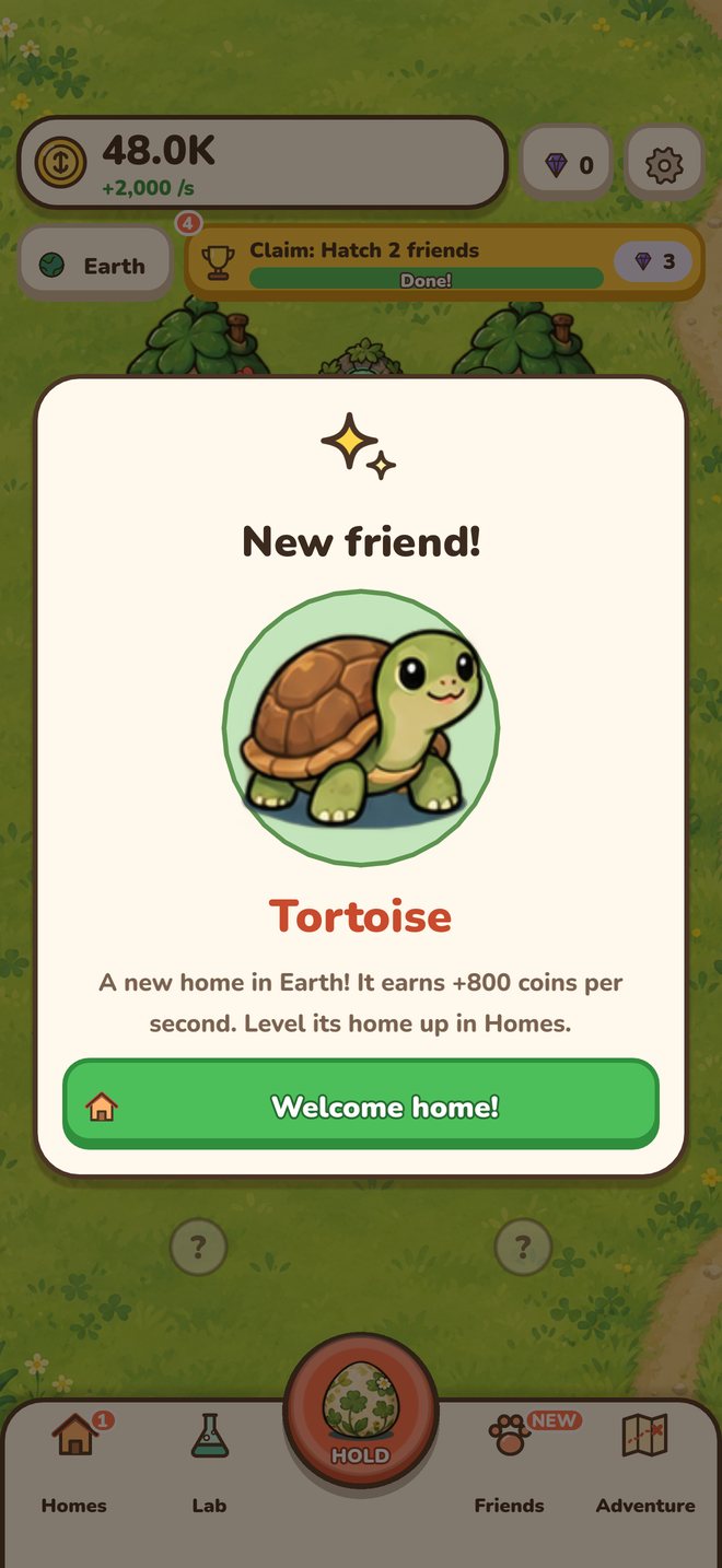 A new friend, a tortoise, has just hatched